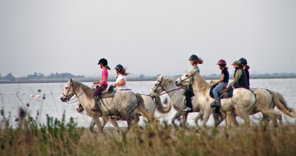 Equitation en Camargue